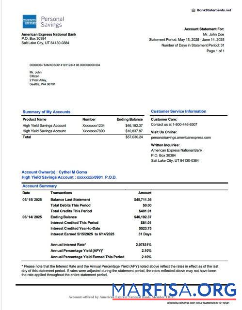 Realistic USA American Express National bank account statement word template